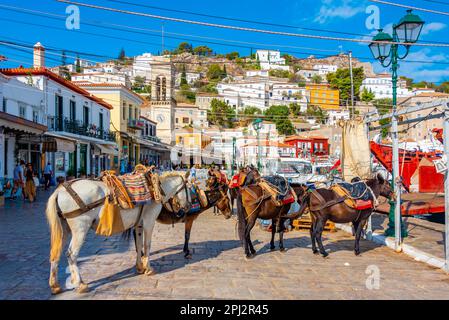 Hydra, Griechenland, 5. September 2022: Esel an der Strandpromenade am Hafen von Hydra in Griechenland. Stockfoto