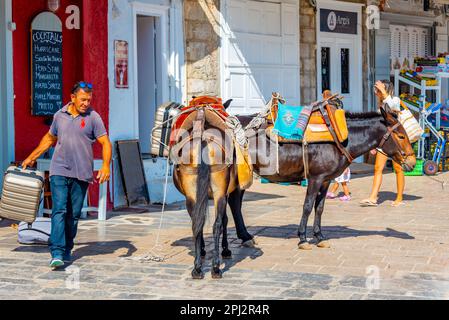 Hydra, Griechenland, 5. September 2022: Esel an der Strandpromenade am Hafen von Hydra in Griechenland. Stockfoto