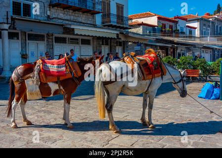 Hydra, Griechenland, 5. September 2022: Esel an der Strandpromenade am Hafen von Hydra in Griechenland. Stockfoto