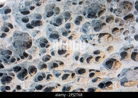 Wabenholz verwitterte und erodierte Sandsteinfelsen am Strand. Es wird angenommen, dass Salzwasser austrocknet und sich im Gestein Salzkristalle bilden Stockfoto