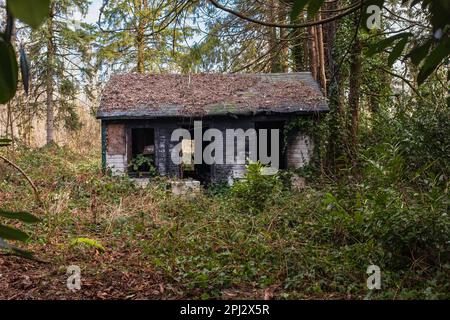 Altes abgebranntes Haus mit überwuchertem Garten. Verbranntes verlassenes Haus in einem Stadtviertel. Einfamilienhaus zerstört durch Feuer. Stockfoto