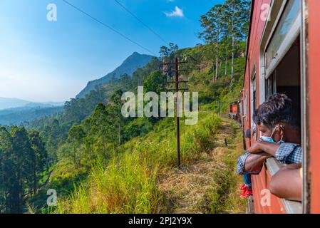 Great Western, Sri Lanka, 1. Februar 2022: Zugwindung auf einem hügeligen Pfad zwischen Teeplantagen in Sri Lanka. Stockfoto