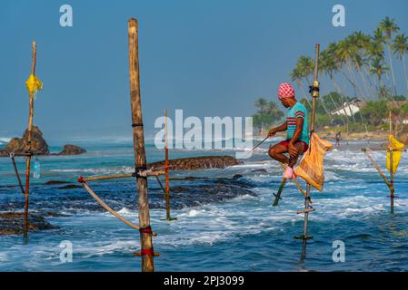 Koggala, Sri Lanka, 22. Januar 2022: Traditionelle Pfahlfischer in Koggala, Sri Lanka. Stockfoto