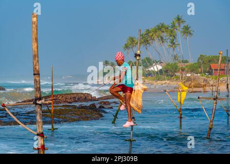 Koggala, Sri Lanka, 22. Januar 2022: Traditionelle Pfahlfischer in Koggala, Sri Lanka. Stockfoto