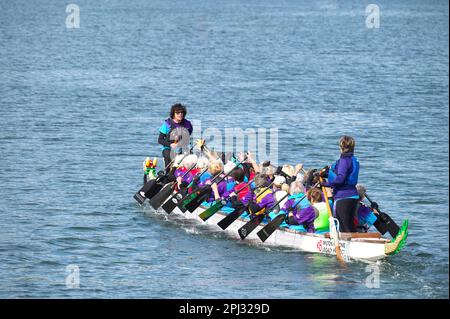 Dragon Boat Race - Wettkämpfe auf dem Weg zur Startlinie - Inlet Spring Regatta 2022, Rocky Point Park, Port Moody, B.C., Kanada. Stockfoto