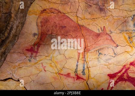 Santillana del Mar, Spanien, 12. Juni 2022: Felsgemälde an der Nachbildung der Altamira-Höhle in Santillana del Mar in Spanien. Stockfoto