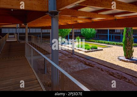 Soria, Spanien, 5. Juni 2022: Antike Mosaiken in der Villa Romana La Dehesa bei Soria, Spanien. Stockfoto