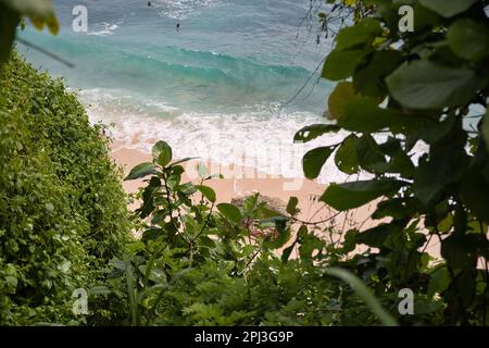 Der idyllische Nyang Nyang Strand in Uluwatu auf Bali in Indonesien, von oben durch einen Rahmen von Pflanzen geformt. Stockfoto