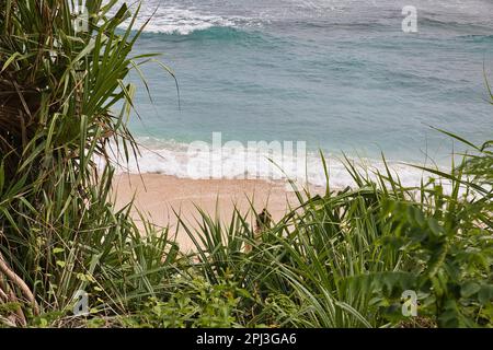 Der idyllische Nyang Nyang Strand in Uluwatu auf Bali in Indonesien, von oben durch einen Rahmen von Pflanzen geformt. Stockfoto