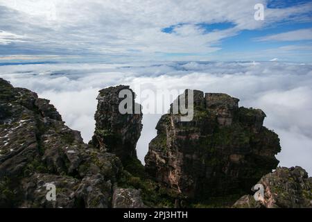 Erodierte schwarze Sandsteinsäulen am Klippenrand von Auyan tepui, Venezuela Stockfoto