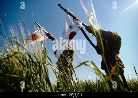 Soldaten zielen aus Gewehren, an denen eine japanische Flagge befestigt ist. Stehen im Gras gegen einen wolkenlosen Himmel mit einer geringen Schärfentiefe Stockfoto