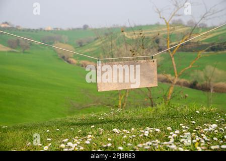 Leere Holztafel, die auf dem Land an einem Seil hängt. Platz für Text Stockfoto
