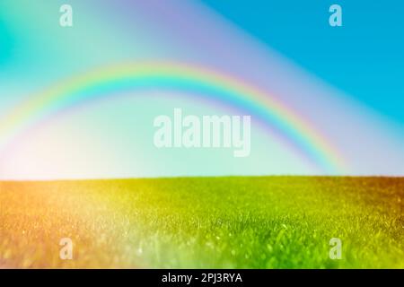 Malerischer Blick auf grüne Wiese und wunderschönen Regenbogen am blauen Himmel an sonnigen Tagen Stockfoto