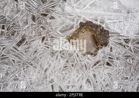 Eis auf einem gefrorenen Fluss, der kristallähnliche Strukturen bildet, Nahaufnahme Makrodetails von oben, Wasser sichtbar in einem kleinen Loch - abstrakter Winterhintergrund Stockfoto