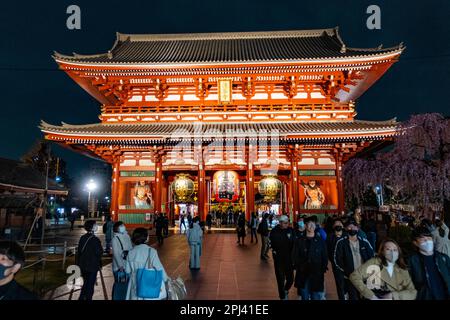 Nachtsicht auf den Sensoji-Tempel in Asakusa, Tokio, Japan Stockfoto