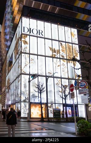 Abendlicher Blick auf den Dior Store im Einkaufsviertel Ginza, Tokio, Japan Stockfoto