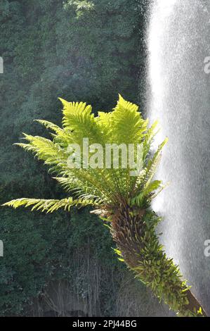 Jardin Extraordinaire, ein Garten in Nantes, Frankreich mit Wasserfall, Felsen und üppiger Vegetation. Stockfoto