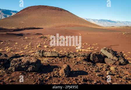 Red Hill Cinder Cone in Kalifornien Stockfoto