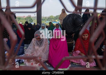 New Delhi, Delhi, Indien. 31. März 2023. Muslimische Frauen beten am Freitag während des heiligen Fastenmonats des Ramadan in Jama Masjid, in den alten Vierteln von Neu-Delhi, Indien, am 31. März 2023. (Kreditbild: © Kabir Jhangiani/ZUMA Press Wire) NUR REDAKTIONELLE VERWENDUNG! Nicht für den kommerziellen GEBRAUCH! Stockfoto