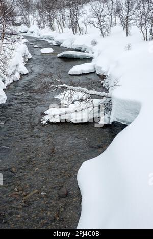 Der schneebedeckte Fluss im norwegischen Gebiet Jotunheimen Stockfoto