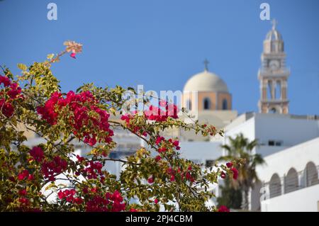 Griechenland, Insel Santorin: Der Uhrenturm und die Kuppel der katholischen Kathedrale in Fira, mit lebhafter Bougainvillea im Vordergrund. Stockfoto