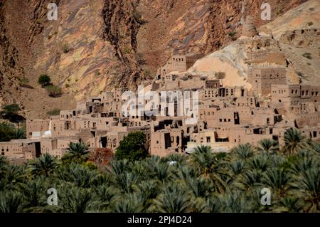 Oman, Birkat al Mawz: Ein Dorf mit verlassenen Backsteingebäuden am Fuße eines spektakulären Felsvorhangs, umgeben von einem Meer aus Dattelpalmen. Stockfoto