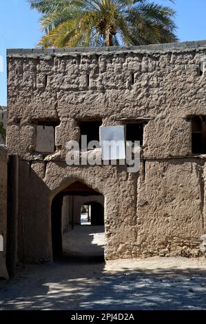 Oman, Birkat al Mawz: Eintritt in das Dorf mit verlassenen Schlammbauten am Fuße eines spektakulären Steinvorhangs, umgeben von einem Meer von Datteln Stockfoto