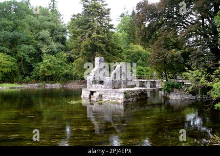 Irland, Grafschaft Mayo, Cong: Ruinen der Cong Abbey (Augustinian), die aus dem 8. Jahrhundert stammt, aber viele Male wieder aufgebaut wurde. Ende der 16. Jahre Stockfoto