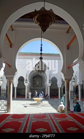 Marokko, Fès: Innenhof der Zaouia-Moschee und Mausoleum von Moulay Idriss II, dem Gründer der Stadt, aus dem 13. Jahrhundert und einer von Stockfoto