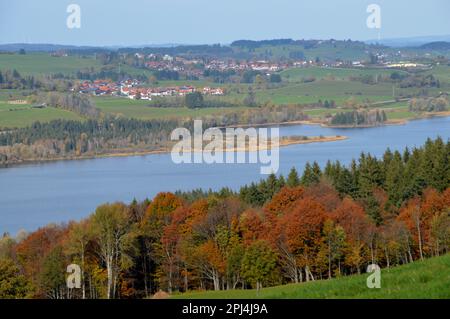 Deutschland, Oberbayern, Wertach: Blick auf den Grüntensee von Hinterreute, mit Herbstlaub. Stockfoto