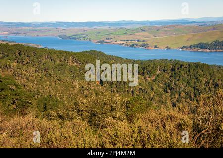 Point Reyes National Seashore in Kalifornien Stockfoto