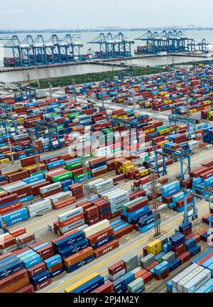 SHANGHAI, CHINA - 31. MÄRZ 2023 - Luftfoto zeigt Containerumschlag im Hafen Waigaoqiao in Shanghai, Ostchina, 31. März 2023. Seitdem Stockfoto