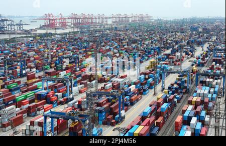 SHANGHAI, CHINA - 31. MÄRZ 2023 - Luftfoto zeigt Containerumschlag im Hafen Waigaoqiao in Shanghai, Ostchina, 31. März 2023. Seitdem Stockfoto