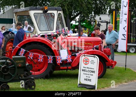 Seltener roter David-Brown-Traktor (Dreschmodell VTK 143 aus den 1940er Jahren) und Besucher, die einen Blick darauf werfen – Great Yorkshire Show 2022, Harrogate, England, Großbritannien. Stockfoto