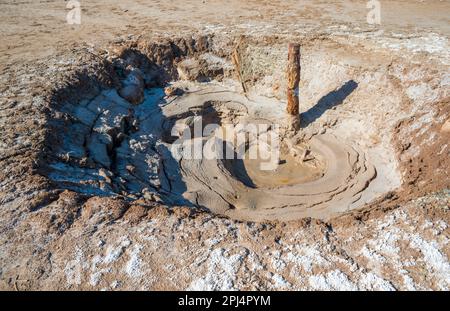 Ein kleiner runder Schlammpool mit konzentrischen Wellen und einem Holzpfahl, umgeben von rissigem Schlamm und einer Salzkruste am Salton Sea, Kalifornien. Stockfoto