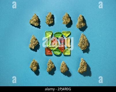 Gummifrüchte liegen in einem Quadrat, trockene Knospen von medizinischem Marihuana liegen herum. Auf blau-grünem Hintergrund, Kopierbereich, flach Stockfoto