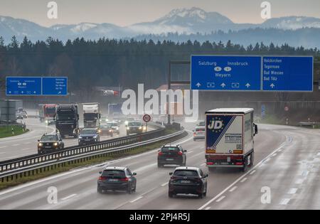 München, Deutschland. 31. März 2023. Zu Beginn der Osterferien fahren Autos und Lastwagen auf der Autobahn A8 in der Nähe von Holzkirchen. Kurz vor Beginn der Osterferien in Bayern wird die erste große Reisewelle des Jahres erwartet. Reisende müssen auf überfüllte Straßen, volle Züge und Wartezeiten am Flughafen vorbereitet sein. Kredit: Peter Kneffel/dpa/Alamy Live News Stockfoto