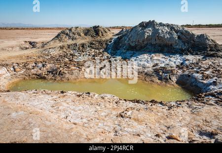 Zwei Lehmmauern erheben sich neben einer Grube mit grünem, stehendem Wasser, das von weißem Salz und rissigem Lehm umgeben ist, am Salton Sea, Kalifornien. Stockfoto