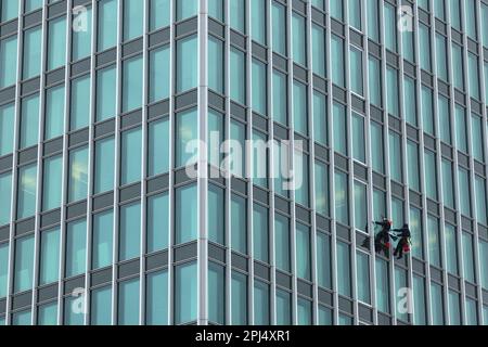 Hamburg, Deutschland. 31. März 2023. Fensterreiniger Seilen sich an der Fassade des ehemaligen Hamburger Süd-Hauses ab, das heute Trio Hamburg heißt. Kredit: Christian Charisius/dpa/Alamy Live News Stockfoto