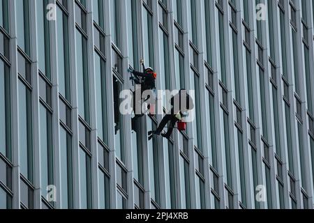 Hamburg, Deutschland. 31. März 2023. Fensterreiniger Seilen sich an der Fassade des ehemaligen Hamburger Süd-Hauses ab, das heute Trio Hamburg heißt. Kredit: Christian Charisius/dpa/Alamy Live News Stockfoto