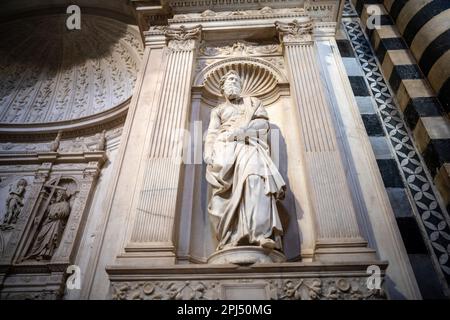 Statue des Heiligen Paulus von Michelangelo auf dem Piccolomini Altarpiece in der Kathedrale von Siena, Italien Stockfoto