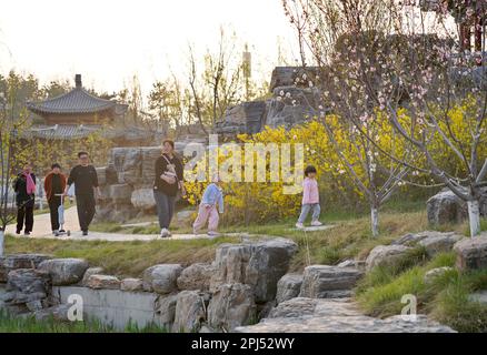 Xiong'an, Chinas Provinz Hebei. 30. März 2023. Besucher besuchen einen Park in Xiong'an New Area, Nordchina Provinz Hebei, 30. März 2023. Die rund 100 km südwestlich von Peking gelegene Xiong'an New Area wurde als wichtiger Empfänger von Funktionen konzipiert, die zuvor in Peking angesiedelt waren, aber für ihre Rolle als Chinas Hauptstadt nicht wesentlich sind. Kredit: Mu Yu/Xinhua/Alamy Live News Stockfoto