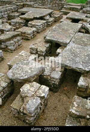 Kommandantenhaus, Chesters römisches Fort, Hadrianswand. Steinboden auf Säulen erhöht, damit heiße Luft zirkulieren kann. Frühe Fußbodenheizung. Stockfoto