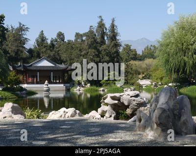 Liebe für den Lotus Pavilion und Lake of Reflecting Pargrance im Chinese Garden of Flowing Pargrance, Huntington Botanical Gardens, San Marino Stockfoto