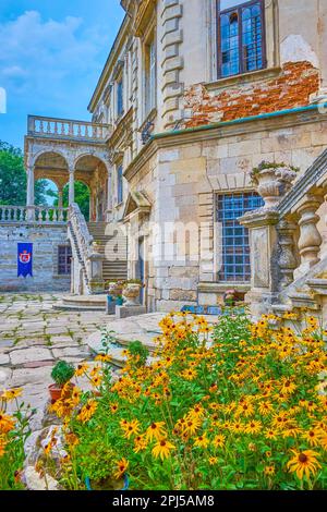 Das kleine Blumenbeet mit goldsturmblumen im Schloss Pidhirtsi, Ukraine Stockfoto