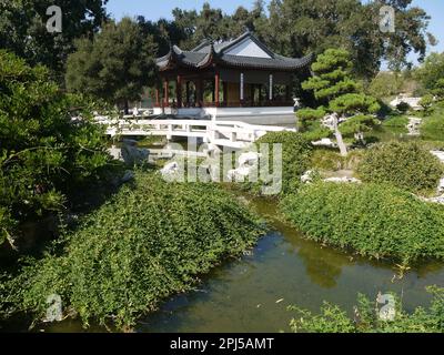 Liebe zum Lotus Pavillon mit der Brücke der Freude des Fisches im Chinesischen Garten des fließenden Dufts, Huntington Botanical Gardens, San Marino Stockfoto