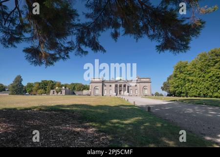 Irland, County Laois, Emo Court, die Fassade des Hauses, eingerahmt von überhängenden Ästen, ist Emo Court ein typisch neoklassizistisches Herrenhaus Stockfoto