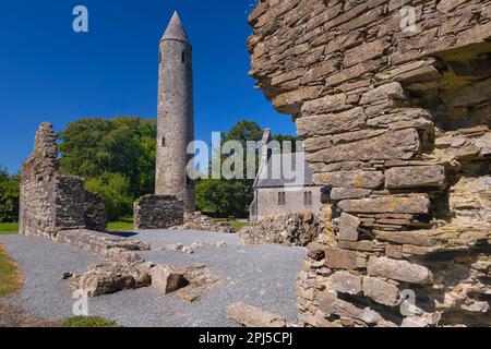 Irland, Grafschaft Laois, Timahoe Round Tower, teilweise eingerahmt von einer Mauer einer Klosterruine mit einer ehemaligen irischen Kirche, die heute ein Kulturerbe ist Stockfoto