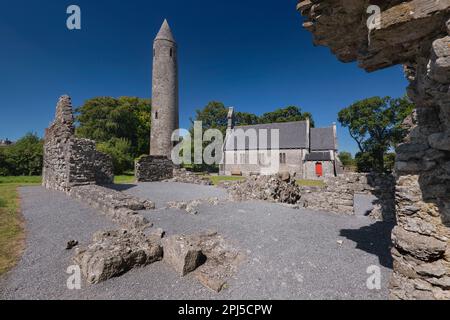 Irland, Grafschaft Laois, Timahoe Round Tower, teilweise eingerahmt von einer Mauer einer Klosterruine mit einer ehemaligen irischen Kirche, die heute ein Kulturerbe ist Stockfoto