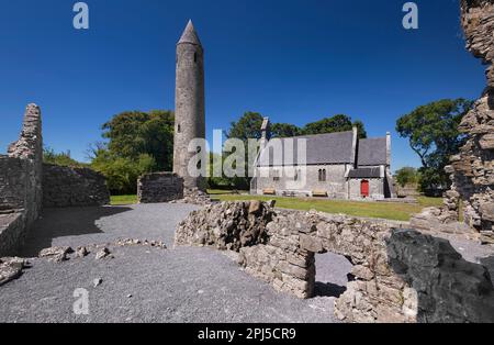 Irland, Grafschaft Laois, Timahoe Round Tower, teilweise eingerahmt von einer Mauer einer Klosterruine mit einer ehemaligen irischen Kirche, die heute ein Kulturerbe ist Stockfoto